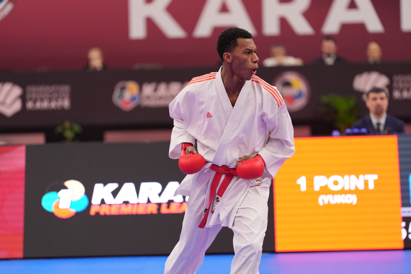 Erik Rahozenko – WKF Senior